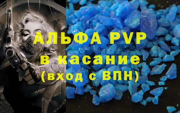 PSILOCYBIN Баксан