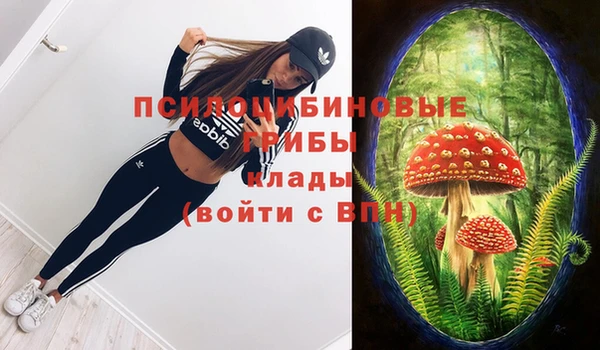 PSILOCYBIN Баксан