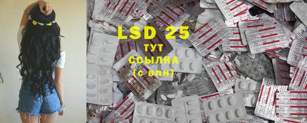 PSILOCYBIN Баксан