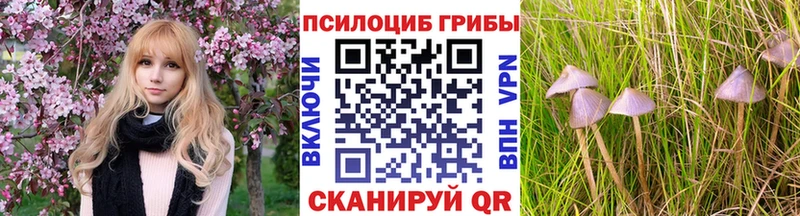 Галлюциногенные грибы Psilocybe  Жирновск 